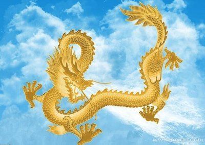 金龍：廈門金龍聯合汽車工業有限公司 金龍：廈門金龍聯合汽車工業有限公司 龍魚百科 第2張