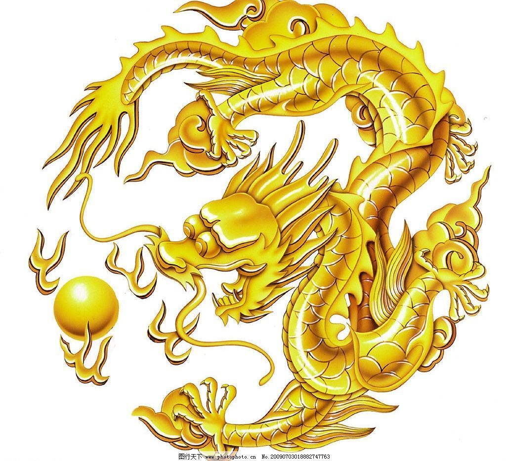 金龍：廈門金龍聯合汽車工業有限公司 金龍：廈門金龍聯合汽車工業有限公司 龍魚百科 第1張