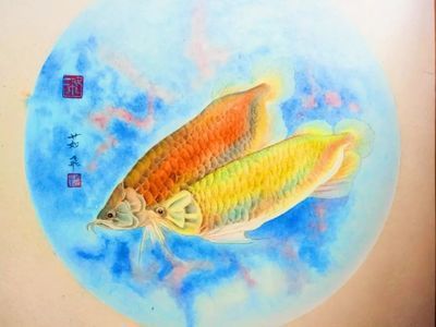 色彩金龍魚怎么畫簡單：如何簡單地畫色彩金龍魚