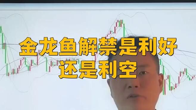 金龍魚解禁
