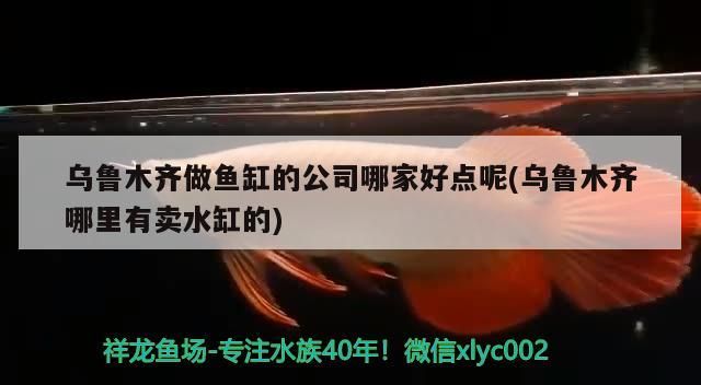 烏魯木齊做魚(yú)缸的公司哪家好點(diǎn)呢(烏魯木齊哪里有賣水缸的) 烏魯木齊做魚(yú)缸的公司哪家好點(diǎn)呢(烏魯木齊哪里有賣水缸的) 龍魚(yú)百科