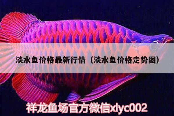 奈及利亞魚(yú)市價(jià)格對(duì)比：利亞魚(yú)市價(jià)格對(duì)比