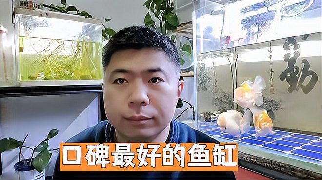 質量口碑最好的魚缸