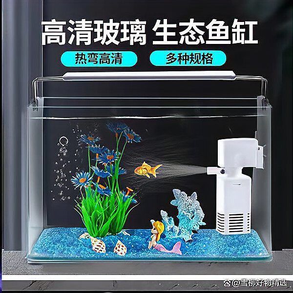 質量口碑最好的魚缸