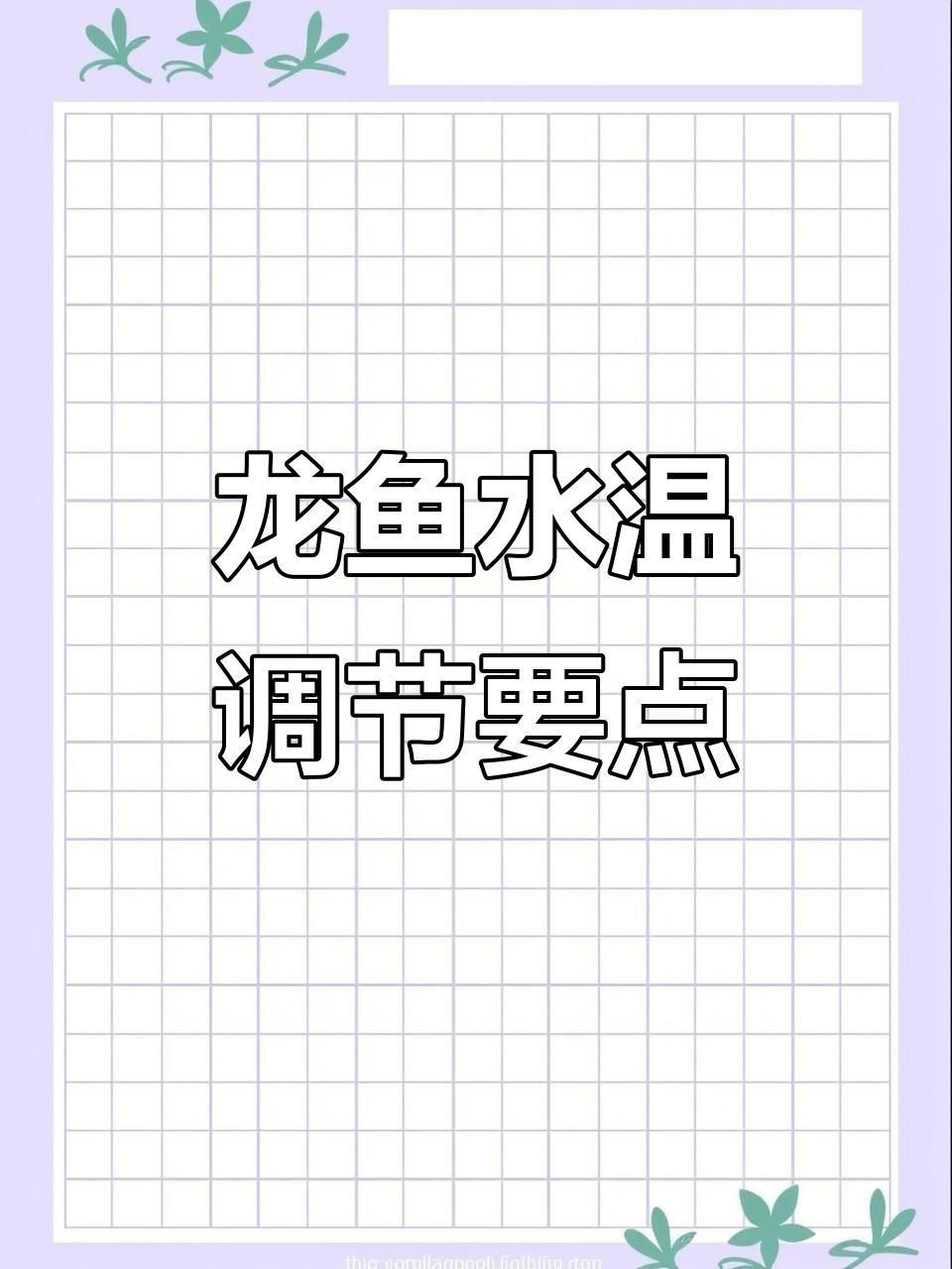 龍魚生病期間需要停食嗎？