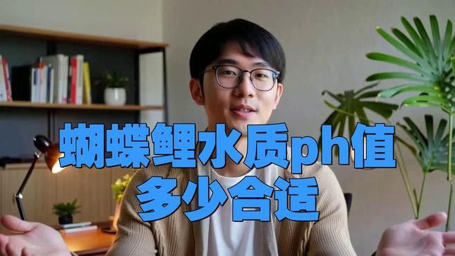 蝴蝶鯉能和金龍魚混養嗎圖片對比