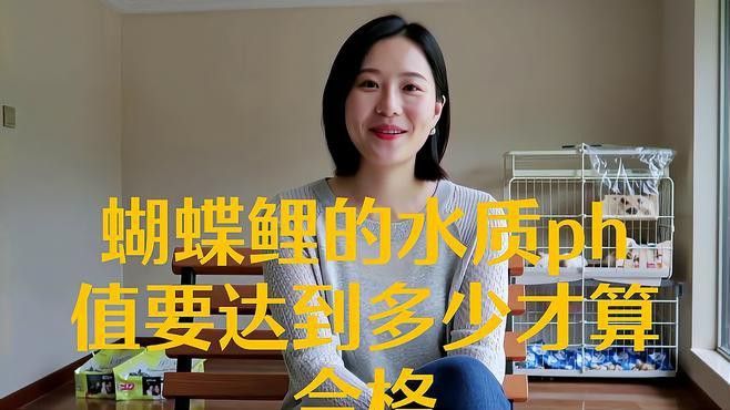 蝴蝶鯉能和金龍魚混養嗎圖片對比