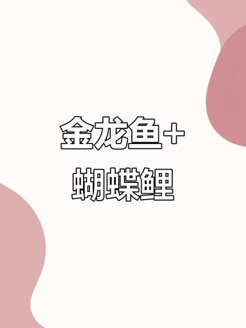 蝴蝶鯉能和金龍魚混養嗎圖片對比