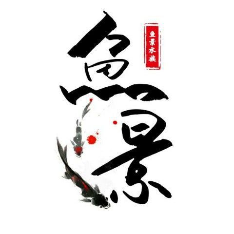 龍魚一只眼睛掉眼怎么辦