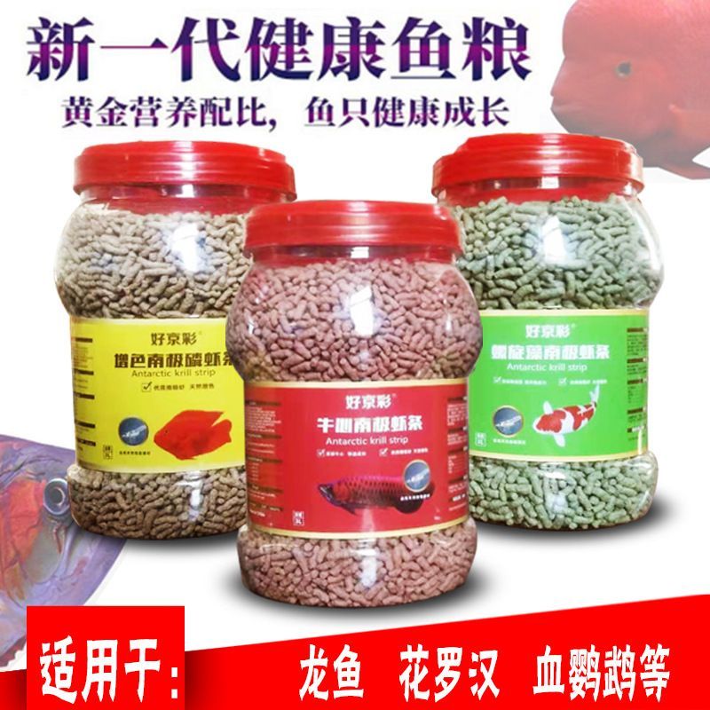 龍魚小時候吃什么長大的：龍魚小時候吃什么