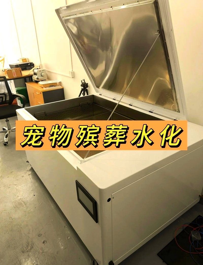 雷龍魚死亡后如何處理遺體？