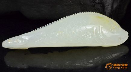 金龍魚可以買賣嗎【金龍魚在水族市場上交易過程中要遵守相關的商業法規】