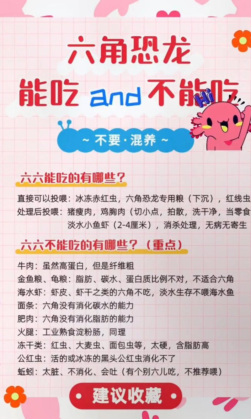 六角恐龍魚水深多少合適