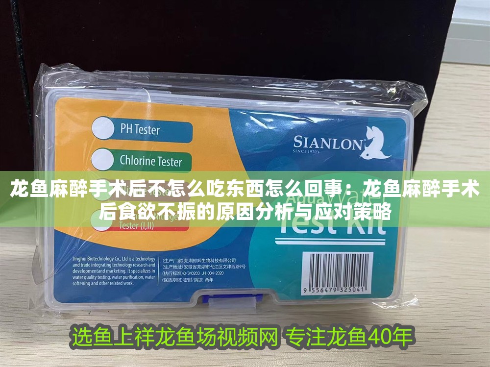 龍魚麻醉手術后不怎么吃東西怎么回事：龍魚麻醉手術后食欲不振的原因分析與應對策略 龍魚麻醉手術后不怎么吃東西怎么回事：龍魚麻醉手術后食欲不振的原因分析與應對策略 龍魚百科 第1張