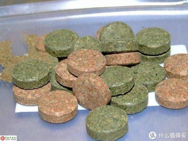 自制紅龍魚飼料成本高嗎？