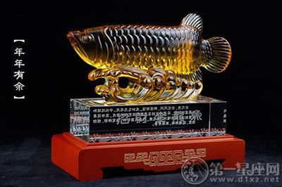 金龍魚擺件的擺放禁忌：招財龍魚擺件擺放禁忌