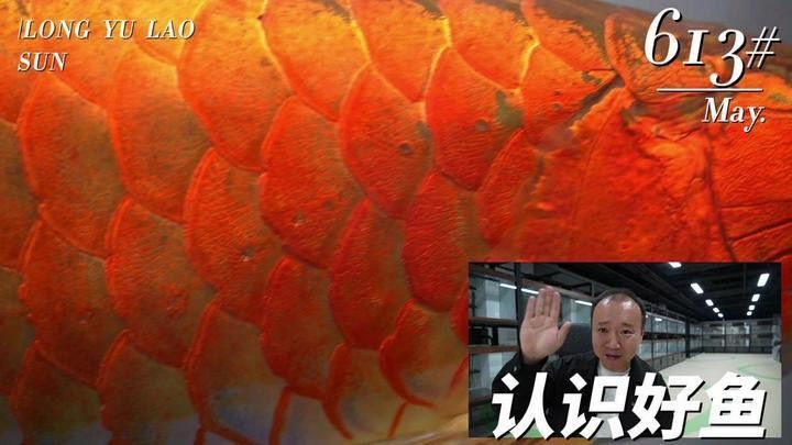 紅龍市場有哪些知名商戶？