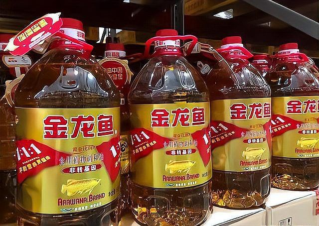 金龍魚是外資企業嗎 金龍魚是外資企業嗎 龍魚百科 第6張