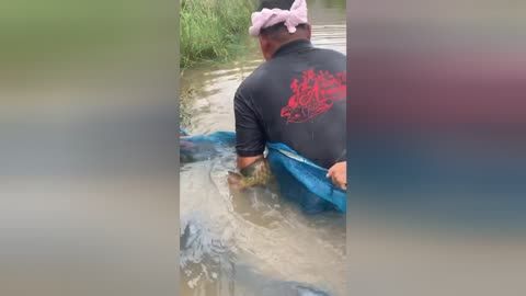 金龍魚不金是什么原因：養(yǎng)魚學堂:金龍魚不金是怎么回事? 金龍魚不金是什么原因：養(yǎng)魚學堂:金龍魚不金是怎么回事? 龍魚百科 第1張