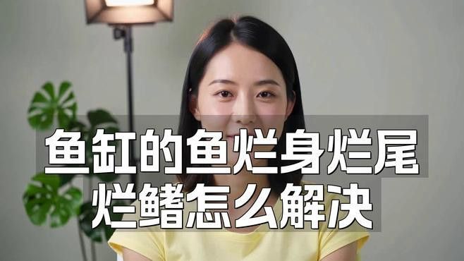 金龍魚七鰭爛了怎么辦？