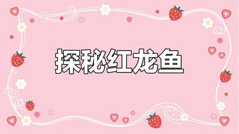 白玉紅龍魚長什么樣子圖片欣賞視頻