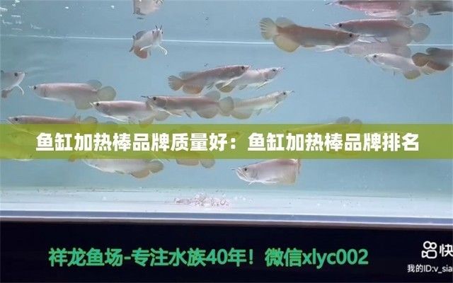 什么牌子魚缸加熱棒質(zhì)量好，魚缸加熱棒哪種技術(shù)最節(jié)能