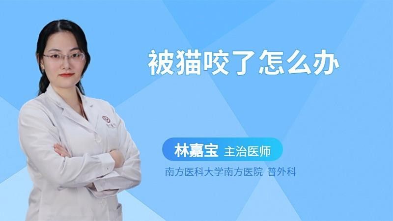 龍貓咬傷后需要忌口嗎？