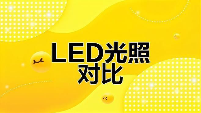 養(yǎng)龍魚用led燈好不好