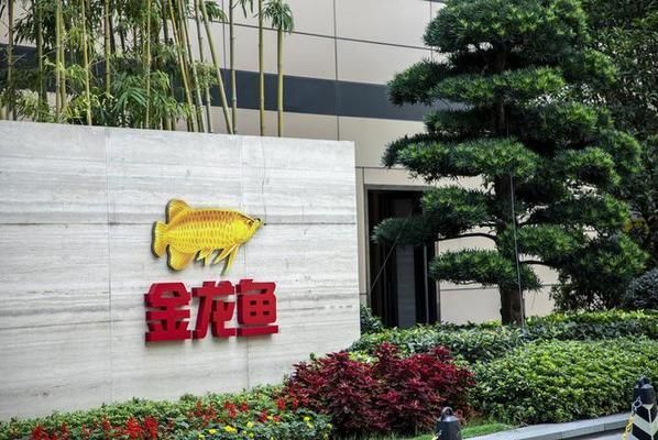 金龍魚 5000億（金龍魚市值蒸發5000億人民幣）
