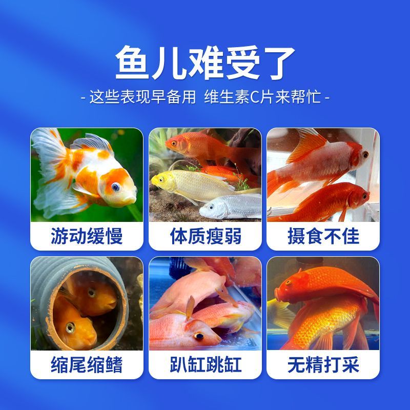 龍魚(yú)長(zhǎng)時(shí)間使用維他命會(huì)怎么樣(如何自制龍魚(yú)維生素補(bǔ)充劑) 龍魚(yú)百科 第5張 龍魚(yú)長(zhǎng)時(shí)間使用維他命會(huì)怎么樣(如何自制龍魚(yú)維生素補(bǔ)充劑) 龍魚(yú)長(zhǎng)時(shí)間使用維他命會(huì)怎么樣(如何自制龍魚(yú)維生素補(bǔ)充劑) 龍魚(yú)百科 第5張