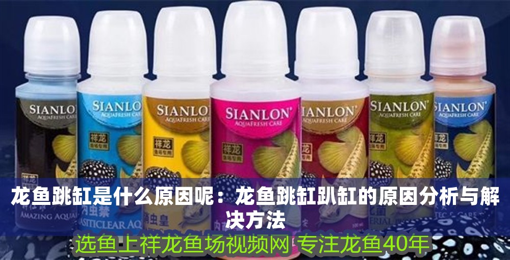 龍魚跳缸是什么原因呢：龍魚跳缸趴缸的原因分析與解決方法
