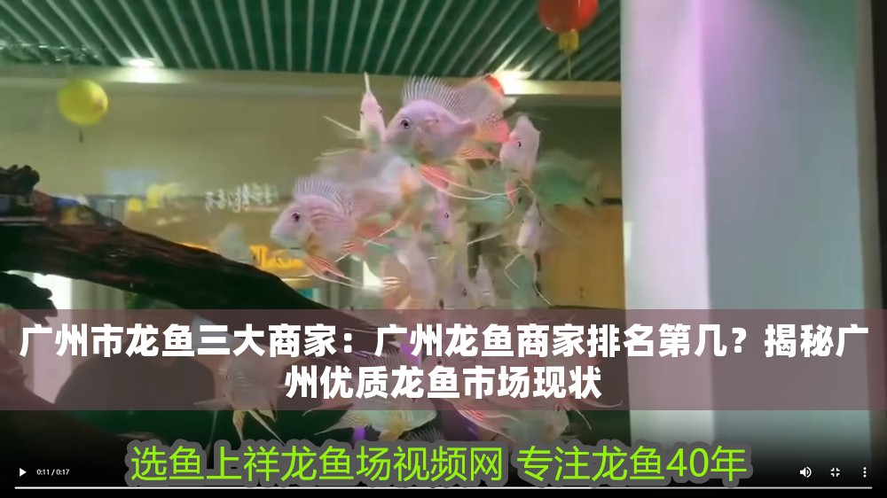 廣州市龍魚三大商家：廣州龍魚商家排名第幾？揭秘廣州優質龍魚市場現狀