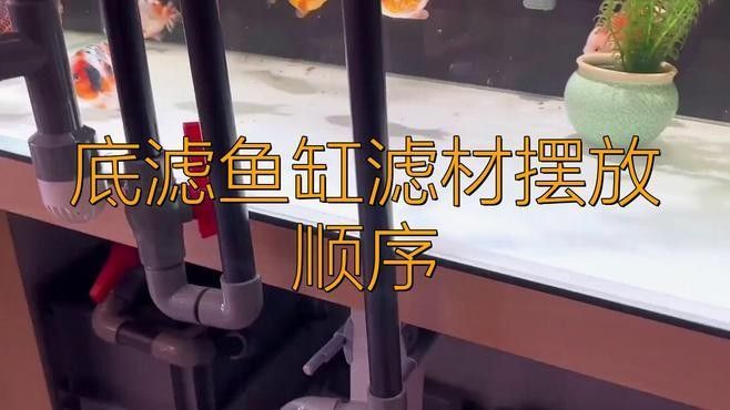 龍魚缸底濾濾材擺放順序 龍魚缸底濾濾材擺放順序 龍魚百科 第1張
