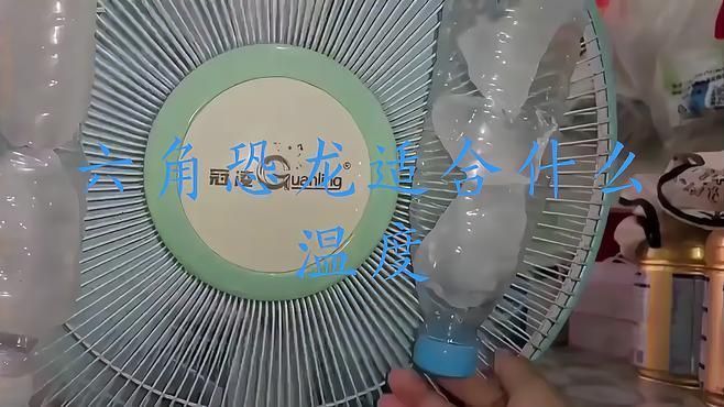 六角恐龍魚的最佳飼養溫度是多少？