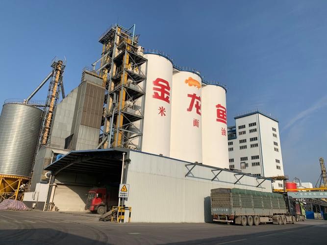 白城金龍魚公司簡介圖片大全