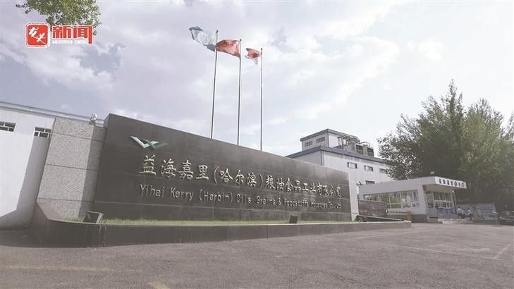 白城金龍魚公司簡介圖片大全