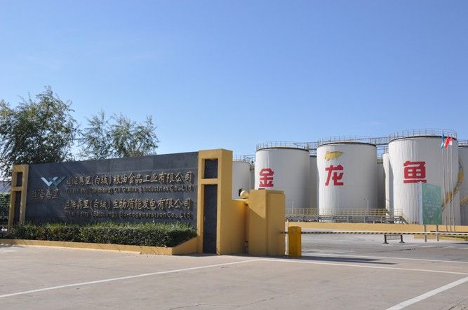 白城金龍魚公司簡介圖片大全