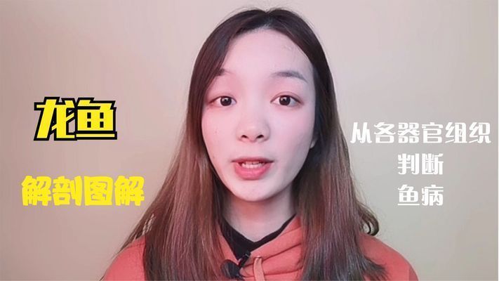 龍魚CT圖，關(guān)于龍魚ct圖的查詢