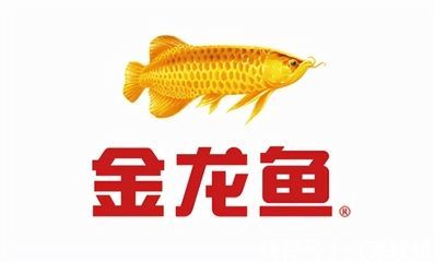 養金龍魚心情說說句子