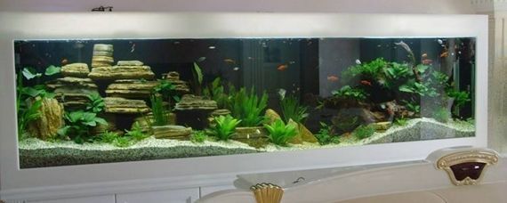 龍魚缸上過濾好還是下過濾好：龍魚缸上過濾和下過濾各有優缺點