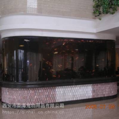 西安魚缸定做祥龍魚場地址在哪兒