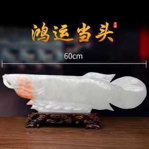 金龍魚60厘米價格：金龍魚一條多少錢