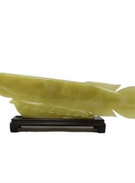 玉石金龍魚圖片大全欣賞視頻 玉石金龍魚圖片大全欣賞視頻 龍魚百科 第23張