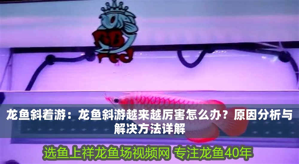 龍魚斜著游：龍魚斜游越來越厲害怎么辦？原因分析與解決方法詳解