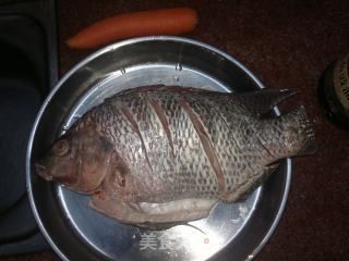 雙線側魚繁殖期飼料品牌推薦：雙線側魚繁殖成功案例分享雙線側魚繁殖成功案例分享