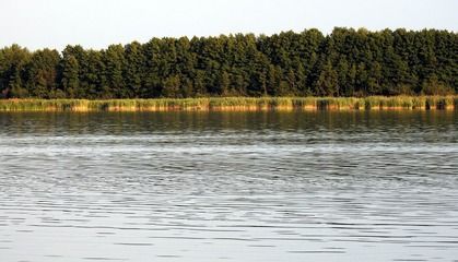 龍魚混養(yǎng)注意事項和禁忌是什么（混養(yǎng)龍魚的注意事項）