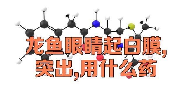 龍魚白膜去除后如何預防復發？