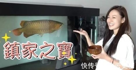 龍魚飄起來了怎么回事兒：龍魚為什么會出現飄浮的現象