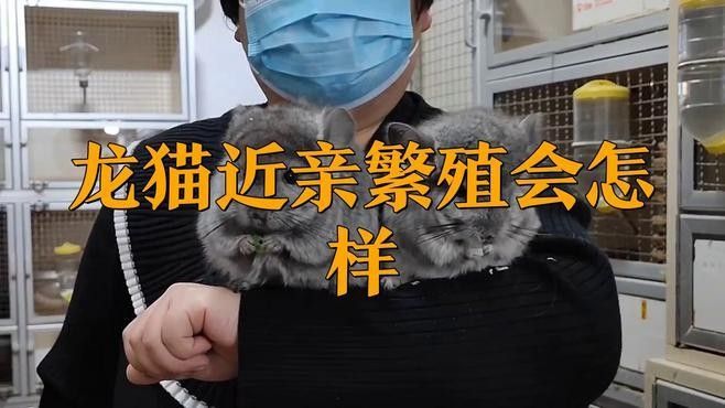 龍貓遺傳病有哪些癥狀？