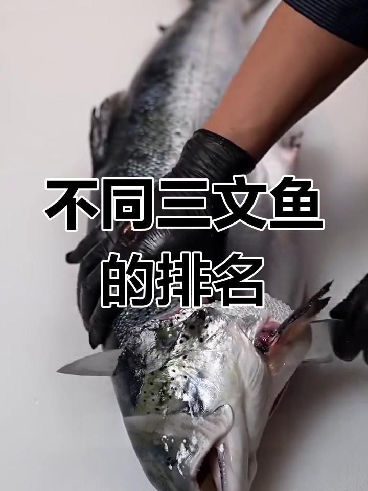 哪種三紋魚好吃 哪種三紋魚好吃 龍魚百科 第2張